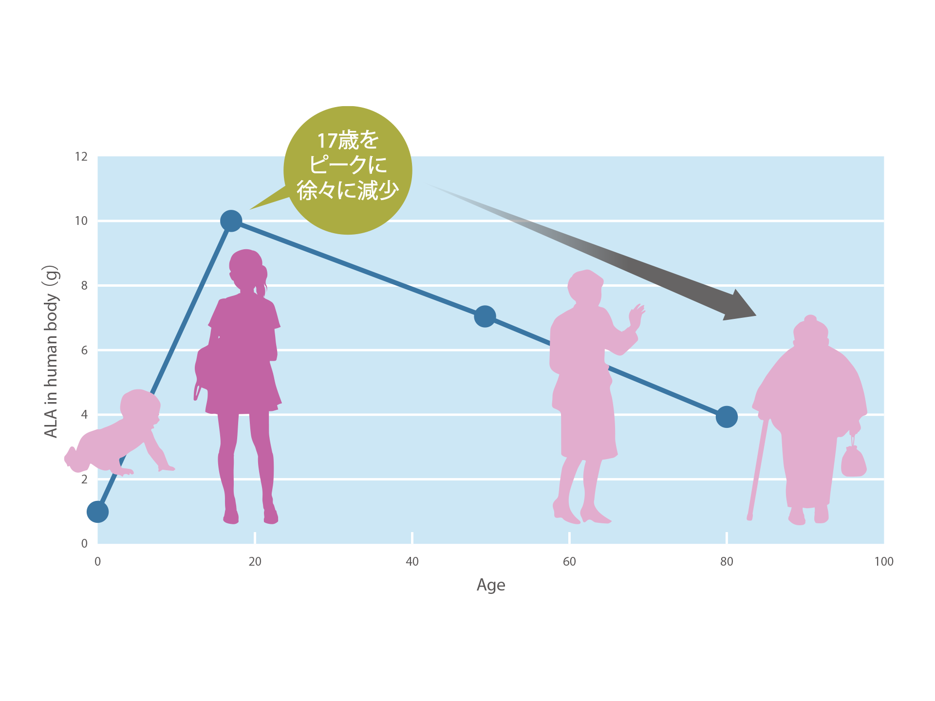 年齢と共にミトコンドリアの機能が低下し、ATPを作る力も弱まります。