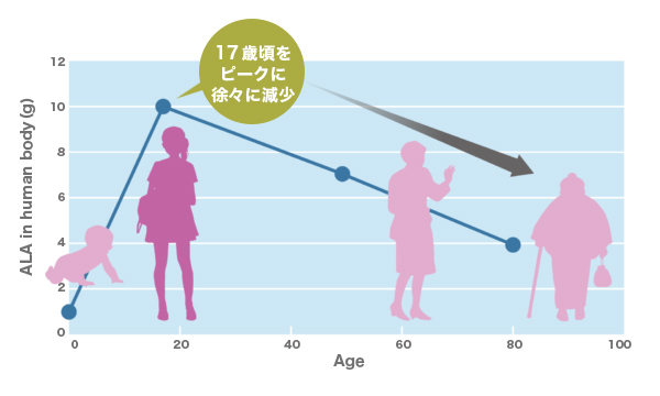 17yo5ala 年齢と共にミトコンドリアの機能が低下し、ATPを作る力も弱まります。